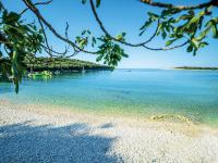 Sea & Sun 4* - B&B Banjole