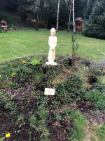 Aux Souvenirs d'Anaëlle gîtes 5 personnes - Ferienwohnung Sainte-Marie-aux-Mines