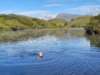 Blar na Leisg, Self catering Lodge 2. - B&B Drumbeg