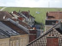La fine bulle! Magnifique appartement pour votre séjour en CHAMPAGNE - Chambres d'hôtes Épernay