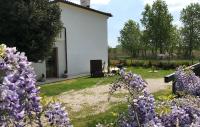 Suite Junior con terraza