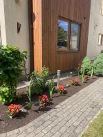 B&B Riga-Strand - Luiza - Bed and Breakfast Riga-Strand