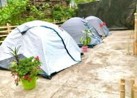 Yumasham Homestay - B&B Dārjiling