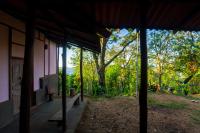 Gemischter Schlafsaal mit 4 Betten