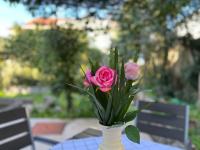 Apartman Nera - B&B