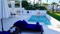 Narcissus 18 - B&B
