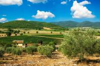 Poggiolivi Agriturismo Bio in Maremma - Chambres d’hôtes Alberese