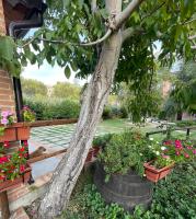 Villa Rosada - Bed and Breakfast
