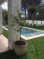 Villa Paolo - Rosa Marina Ostuni - B&B Rosa Marina