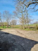 FEWO NEUBEEREN - Bed and Breakfast Großbeeren