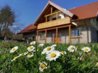 Wandertraum Johann - FeWo Eifel - Ferienwohnung