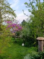 Chabatz d entraz - Bed and Breakfast Lubersac