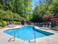 Bear Slide - B&B