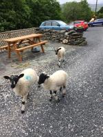 B&B Threlkeld - The Canteen Beautiful 1-Bed Apartment in Keswick - Bed and Breakfast Threlkeld