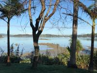 B&B Whangarei - Tui's Song Bach on the Bay - Bed and Breakfast Whangarei