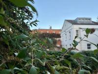 Vernon Place town centre, Vernon Cottage 3-bed with parking, 1A Vernon Court 2-bed with parking, 1B studio no parking, off the High Street next to Sandford Park - Chambres d'hôtes Cheltenham