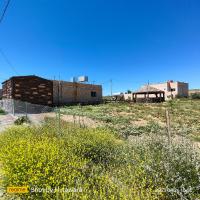 Petra Dad Farm (PDF) - B&B