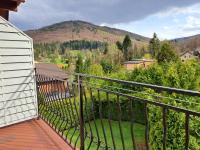 Studio with Garden View