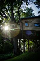 B&B Meņģele - Strazdu Ligzda Off grid treehouse - Bed and Breakfast Meņģele