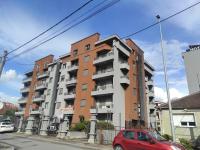 Cozy Studio K with Kitchen & WiFi in Heart of Podgorica - B&B Podgorica