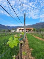 Posestvo Rouna - winery and apartments - B&B Vipacco