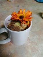 The Elephants Tusk B&B - Bed and Breakfast eMkhomazi