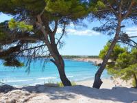 Maison Planier, havre de paix proche mer et centre - B&B Sausset-les-Pins