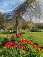 Moderne Ferienwohnung Gartenblick - Bed and Breakfast