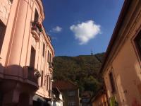 Vista Studio Brasov in the Heart of the Old City Center - Chambres d'hôtes Braşov