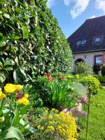 B&B Bad Doberan - Klosterblick - Bed and Breakfast Bad Doberan