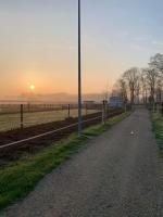 Ontwaken tussen de paarden - B&B Helen-Bos