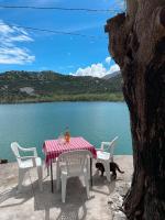 Lakeview Apartments Jolicic - Bed and Breakfast Virpazar