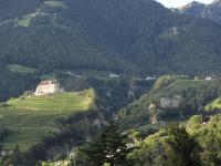 Apartment Sonne auf Bio-Hof - B&B Merano