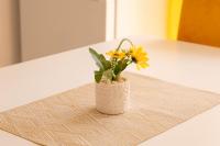 Suite de 1 dormitorio