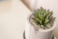 Camera Matrimoniale Superior