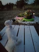 Ήσυχη μονοκατοικία κοντά στη θάλασσα!!! - B&B Polichnítos