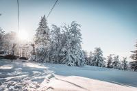 Penzion Jedlová hora - Bed and Breakfast Jiřetín pod Jedlovou