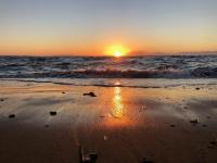 Octopus house 1 min from the beach of Nikiti - B&B Níkiti