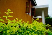 Goodtimewithfar House - B&B