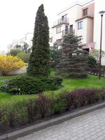 DoMola - Bed and Breakfast Gdansk