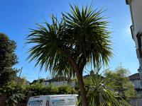 SPECIAL RATE FOR BOOKINGS MORE THAN 7 NIGHTS, WARM SPACIOUS CONTRACTOR HOUSE NEAR LIVERPOOL CITY CENTRE SLEEPS 8 kitchen & dining room, washing machine - B&B