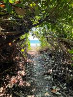 Fully Furnished FAMILY JUNGLE TENT, Latino Glamping Paquera - Ferienwohnung