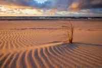 Twin Room with Balcony