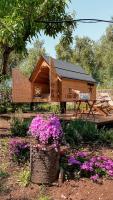 #StarsBoxtragliulivi - Bed and Breakfast Molfetta
