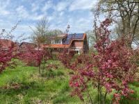 Friedeburga - B&B