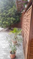 Appartamento 