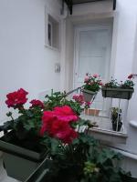 Dimora Isonzo - B&B