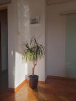 Apartments Katarina - B&B Podstrana