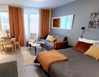 Levi Studio with sauna - B&B