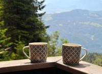 Apartment MOUNTAIN BLOOM Golte - B&B Mozirje